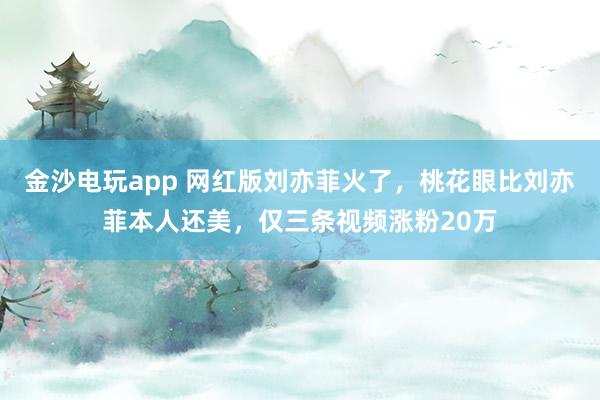 金沙电玩app 网红版刘亦菲火了，桃花眼比刘亦菲本人还美，仅三条视频涨粉20万