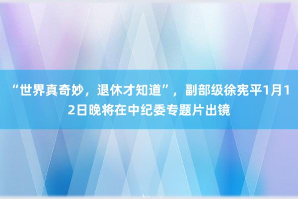 “世界真奇妙，退休才知道”，副部级徐宪平1月12日晚将在中纪委专题片出镜