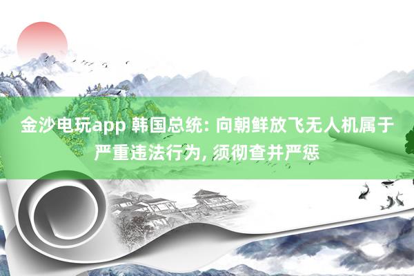 金沙电玩app 韩国总统: 向朝鲜放飞无人机属于严重违法行为， 须彻查并严惩