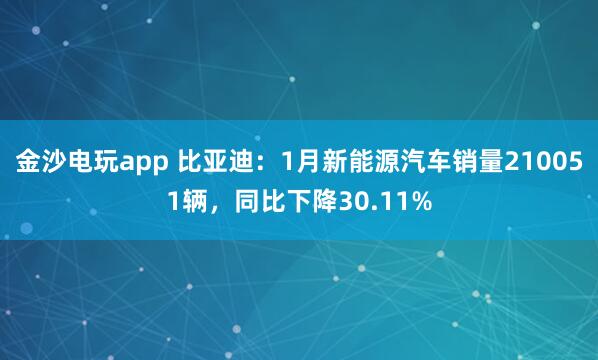 金沙电玩app 比亚迪：1月新能源汽车销量210051辆，同比下降30.11%