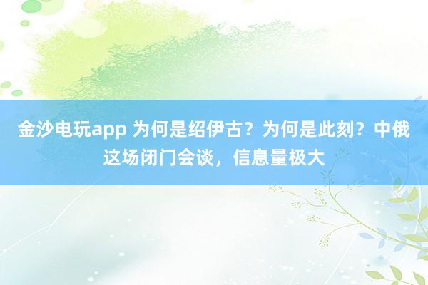 金沙电玩app 为何是绍伊古？为何是此刻？中俄这场闭门会谈，信息量极大