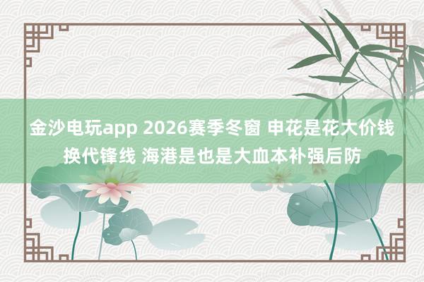 金沙电玩app 2026赛季冬窗 申花是花大价钱换代锋线 海港是也是大血本补强后防