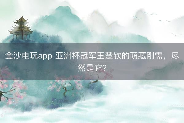 金沙电玩app 亚洲杯冠军王楚钦的荫藏刚需，尽然是它？