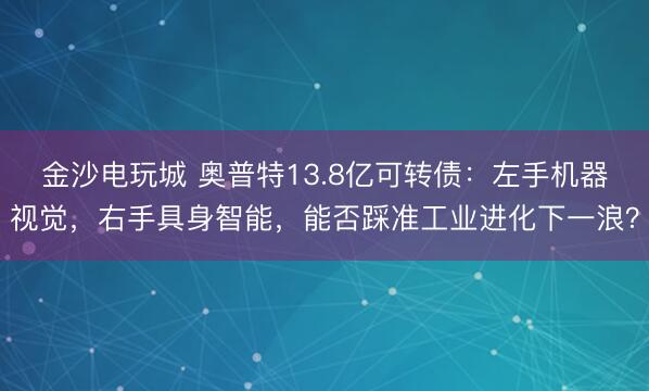 金沙电玩城 奥普特13.8亿可转债:左手机器视觉,右手具身智能,能否踩准工业进化下一浪?