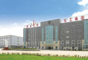 河北东华化工总公司
