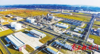 计划投资7亿元 南充打造航空港科技创新中心