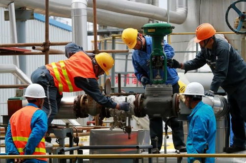 恒通化工 模拟股份制凝聚发展合力