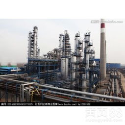 上海化工产业 转型升级与可持续发展