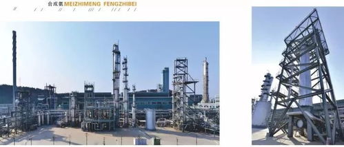 四川美丰创新工艺通过科技成果鉴定，化工行业再添新突破