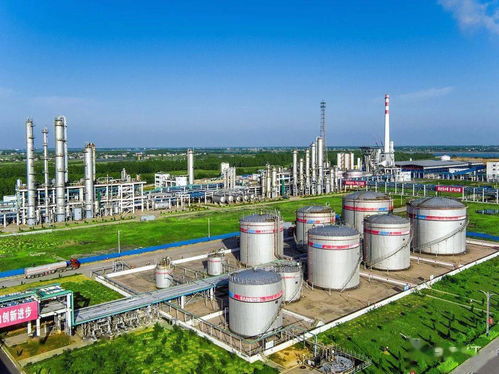 高效运维与技术创新并重——访锦纶公司设备科负责人严敏